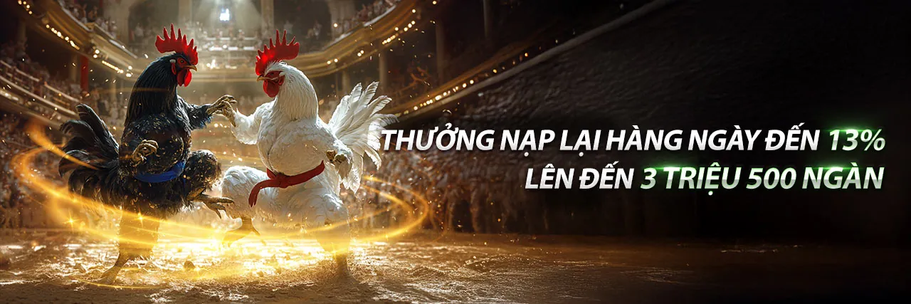 Đá gà trực tuyến LT88 - Sân đấu kịch tính