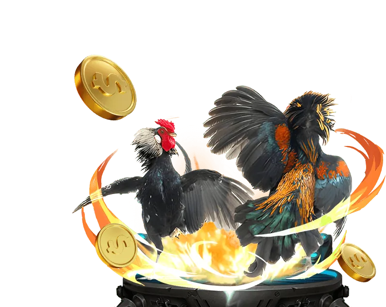 Hình ảnh đá gà trực tuyến tại GO88 với các trận đấu kịch tính